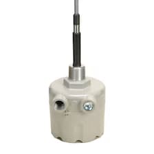 Capacitance Level Switches